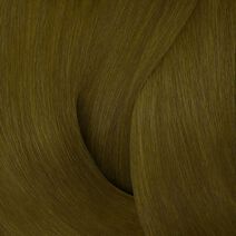 Color Gels 5GB Truffle - Color Gels Color Gels 5GB Truffle - Color Gels | L'Oréal Partner Shop
