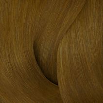 Color Gels 6NW Brandy - Color Gels Color Gels 6NW Brandy - Color Gels | L'Oréal Partner Shop