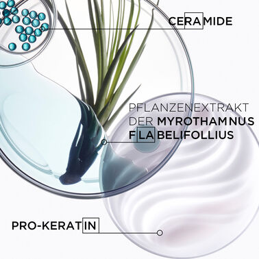 Résistance Bain Force Architecte Refill Set - Résistance | L'Oréal Partner Shop