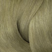 Color Gels 8AB Stardust - Color Gels | L'Oréal Partner Shop