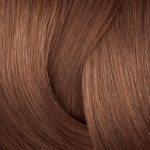 Shades EQ Bonder Inside 08NCh Chocolate Souffle - Shades EQ Bonder Inside | L'Oréal Partner Shop