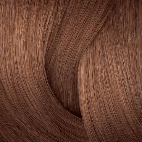 Shades EQ Bonder Inside 08NCh Chocolate Souffle - Shades EQ Bonder Inside | L'Oréal Partner Shop