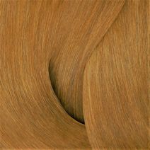 Shades EQ 08WG Golden Apricot - Shades EQ Bonder Inside | L'Oréal Partner Shop