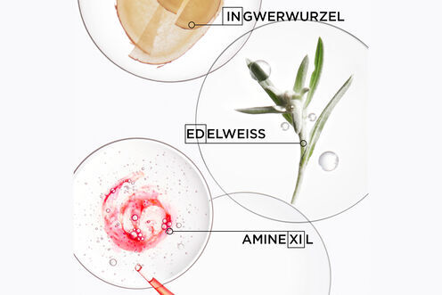 Genesis Bain-Nutri Fortifiant - Genesis | L'Oréal Partner Shop